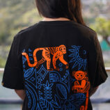 Curious_Comp-3